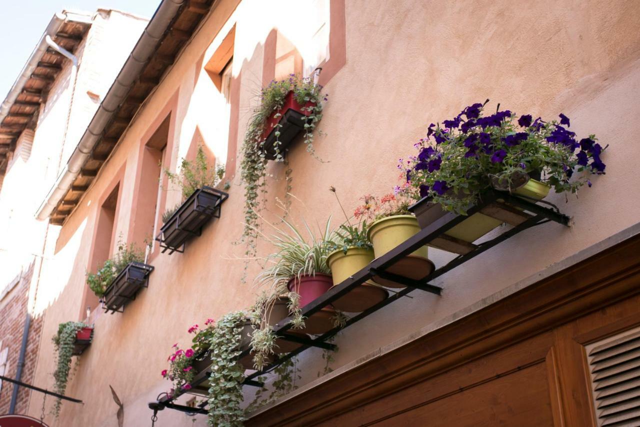 Zenao Appart'hôtel Albi Ngoại thất bức ảnh